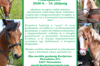 Čezmejni jahalni tabor julij 2020