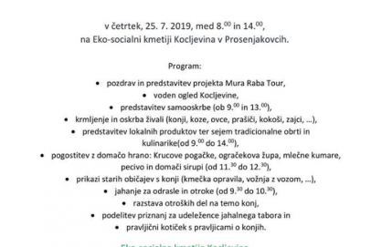 Dan konj na Eko-socialni kmetiji Kocljevina v Prosenjakovcih